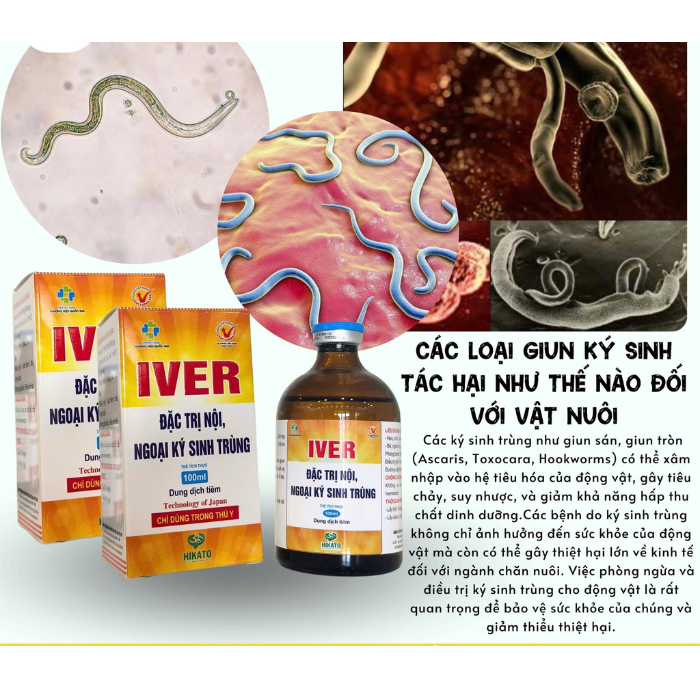 IVER